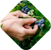 oferty-pracy-oleko-group-2