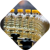 oferty-pracy-oleko-group-ciekawostki-na-temat-produkcji-oleju-jadalnego